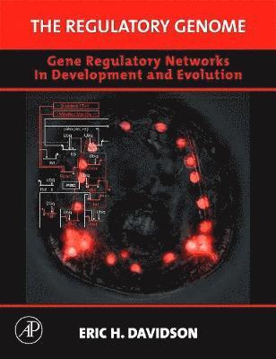 The Regulatory Genome 1