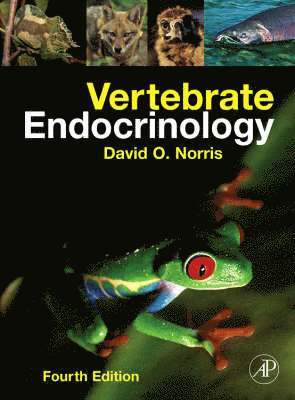 David O. Norris - Vertebrate Endocrinology, Inbunden