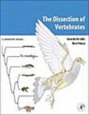 bokomslag The Dissection of Vertebrates
