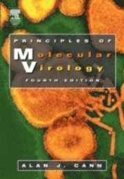 bokomslag Principles of molecular virology : standard edition