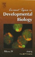 Gerald P. Schatten - Current Topics in Developmental Biology, Inbunden