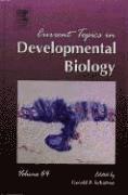 Gerald P. Schatten - Current Topics in Developmental Biology, Inbunden