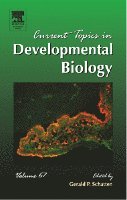 Gerald P. Schatten - Current Topics in Developmental Biology, Inbunden