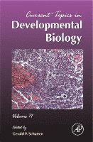 Gerald P. Schatten - Current Topics in Developmental Biology, Inbunden