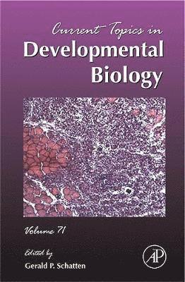 bokomslag Current Topics in Developmental Biology