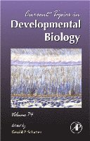 Gerald P. Schatten - Current Topics in Developmental Biology, Inbunden