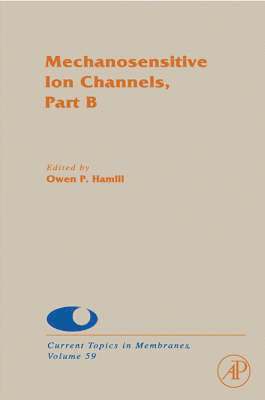 bokomslag Mechanosensitive Ion Channels, Part B