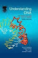 bokomslag Understanding DNA