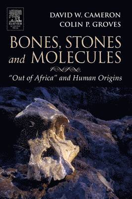 bokomslag Bones, Stones and Molecules