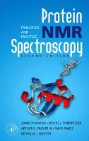 bokomslag Protein NMR Spectroscopy