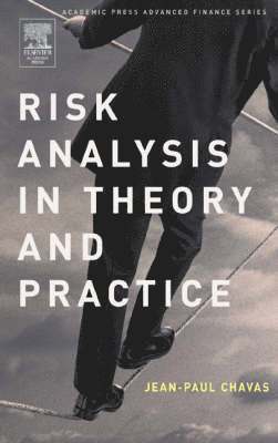 bokomslag Risk Analysis in Theory and Practice