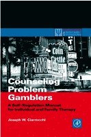 Joseph W. Ciarrocchi - Counseling Problem Gamblers, Häftad