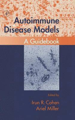 bokomslag Autoimmune Disease Models