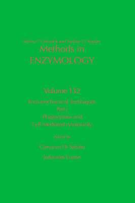 bokomslag Immunochemical Techniques, Part J: Phagocytosis and Cell-Mediated Cytotoxicity