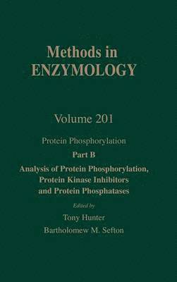 bokomslag Protein Phosphorylation, Part B