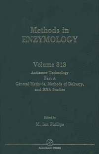bokomslag Antisense Technology, Part A, General Methods, Methods of Delivery, and RNA Studies