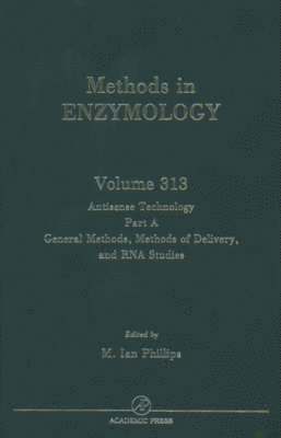 Antisense Technology, Part A, General Methods, Methods of Delivery, and RNA Studies, Inbunden