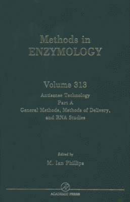 bokomslag Antisense Technology, Part A, General Methods, Methods of Delivery, and RNA Studies