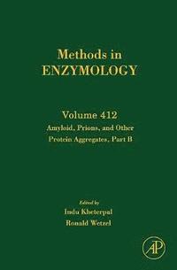 bokomslag Amyloid, Prions, and Other Protein Aggregates, Part B
