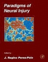 bokomslag Paradigms of Neural Injury