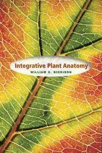 bokomslag Integrative Plant Anatomy