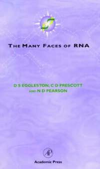 bokomslag The Many Faces of RNA