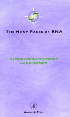 The Many Faces of RNA 1