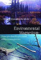 bokomslag Environmental Magnetism