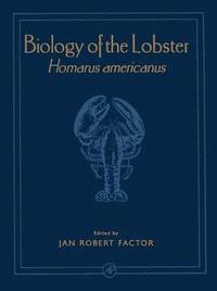 bokomslag Biology of the Lobster