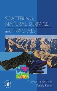 bokomslag Scattering, Natural Surfaces, and Fractals