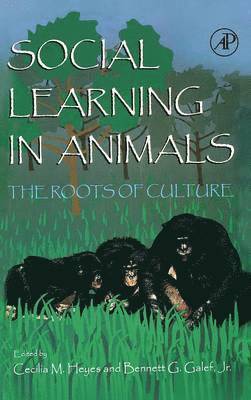 bokomslag Social Learning In Animals