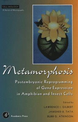Lawrence I. Gilbert, Jamshed R. Tata - Metamorphosis, Inbunden