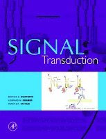 Signal Transduction 1