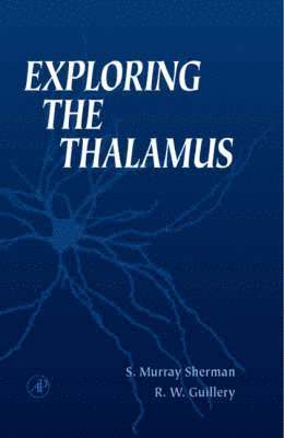 bokomslag Exploring the Thalamus