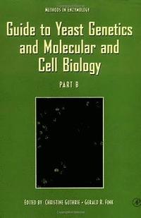 bokomslag Guide to Yeast Genetics and Molecular and Cell Biology, Part B