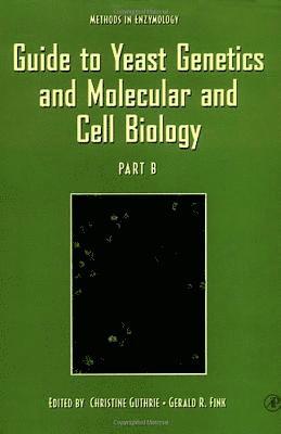 Guide to Yeast Genetics and Molecular and Cell Biology, Part B