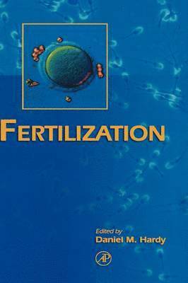 bokomslag Fertilization