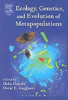 bokomslag Ecology, Genetics and Evolution of Metapopulations