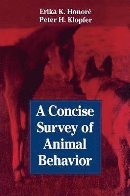 bokomslag A Concise Survey of Animal Behavior