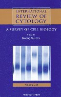 International Review of Cytology, Inbunden