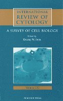 International Review of Cytology 1