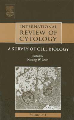 bokomslag International Review of Cytology