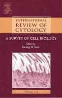 bokomslag International Review of Cytology