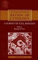 International Review of Cytology 1