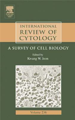 bokomslag International Review of Cytology