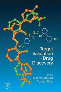 bokomslag Target Validation in Drug Discovery