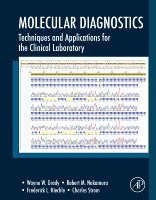 Wayne W. Grody, Robert M. Nakamura, Frederick L. Kiechle, Charles Strom - Molecular Diagnostics, Inbunden