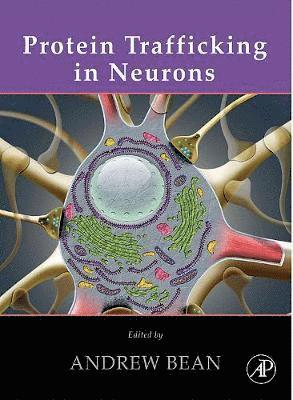 bokomslag Protein Trafficking in Neurons