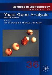 bokomslag Yeast Gene Analysis
