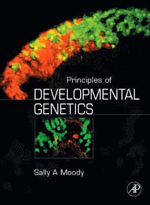 Sally A. Moody - Principles of Developmental Genetics, Inbunden